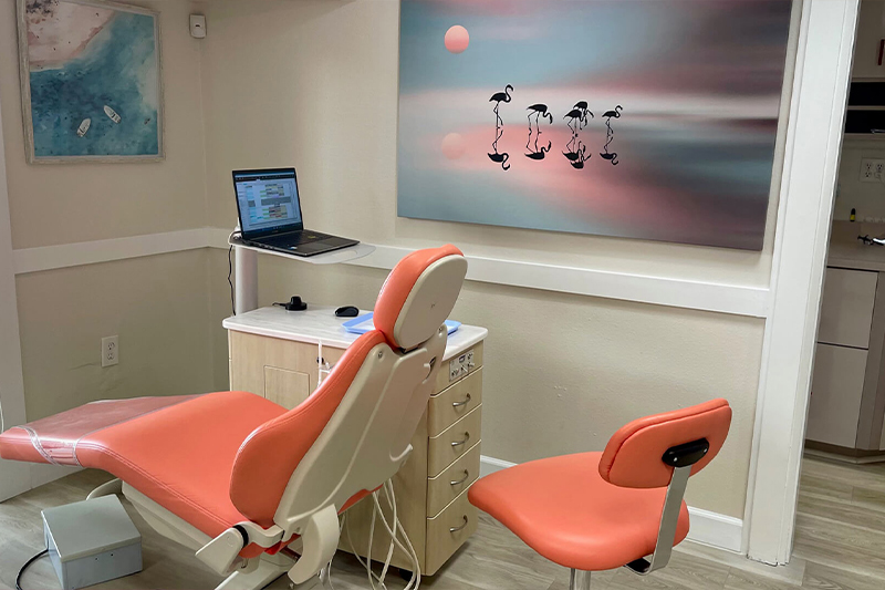 Orthodontist in Palm Harbor